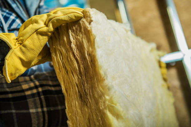 Trusted Glasgow, KY Insulation Contractor Experts