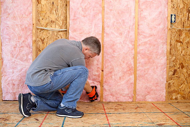 Best Cellulose Insulation in Glasgow, KY